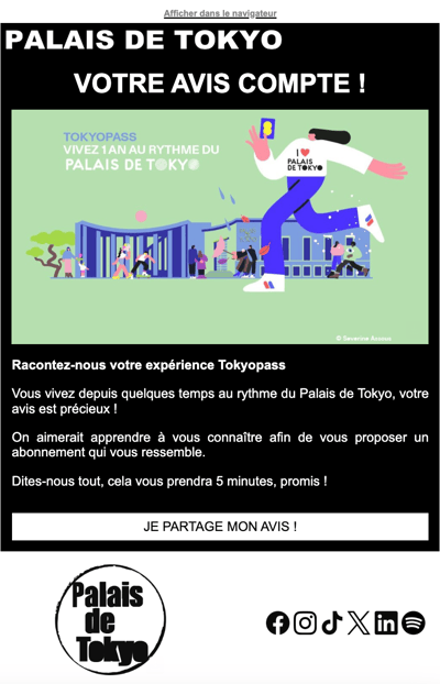 Palais de Tokyo - Exemple newsletter enquête abonnés