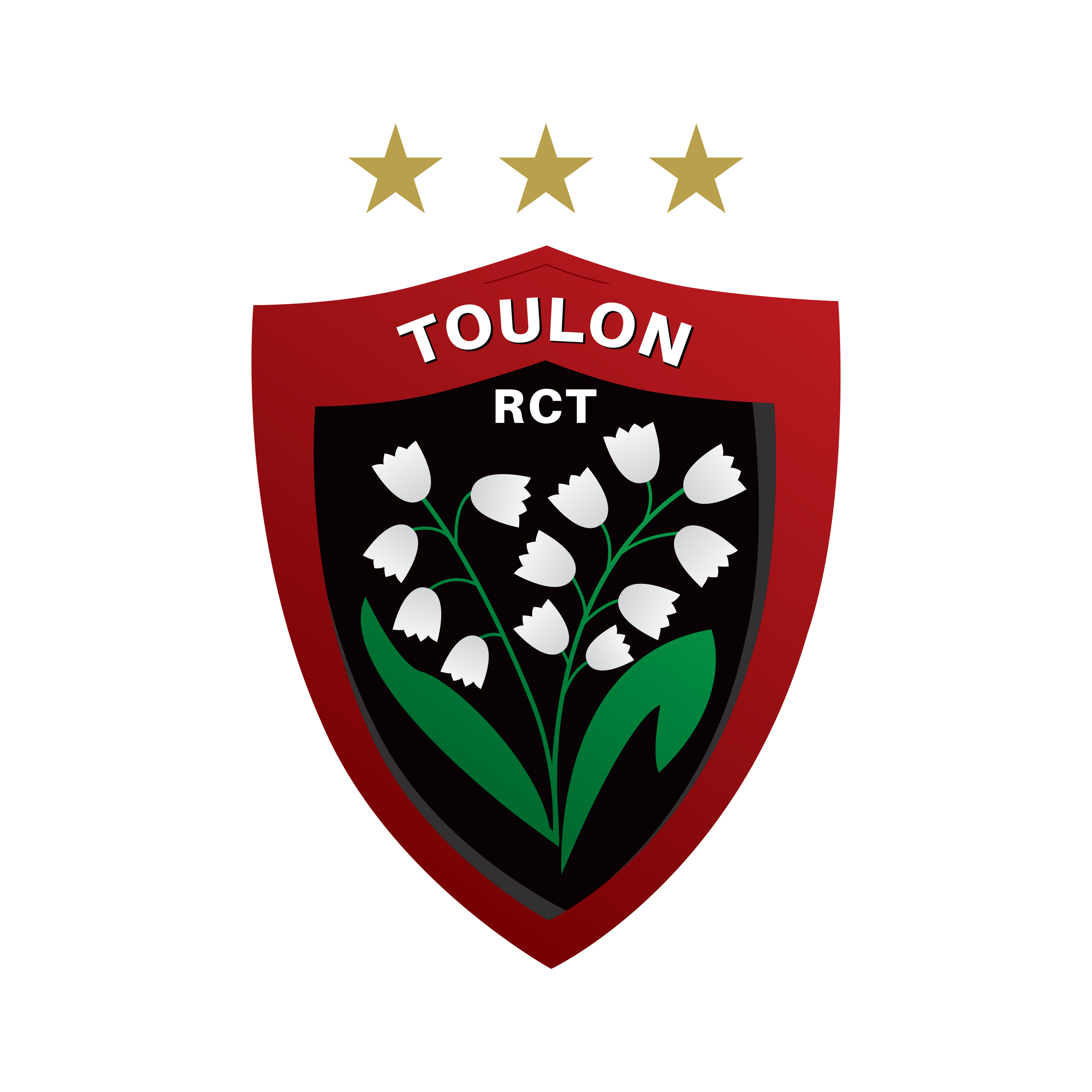 RCT_LOGO