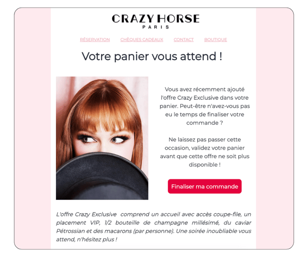 Exemple d'un email de relance de panier abandonné envoyé par le Crazy Horse