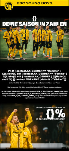 Aperçu de la newsletter de fin de saison personnalisée des Young Boys de Berne