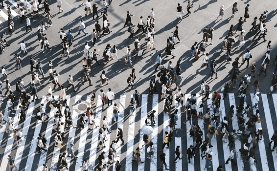 segmentation-public-arenametrix-crm