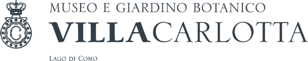 villa carlota