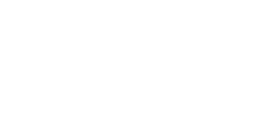 Fondvide